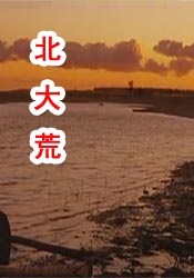 亚洲尹人香蕉网在线视颅